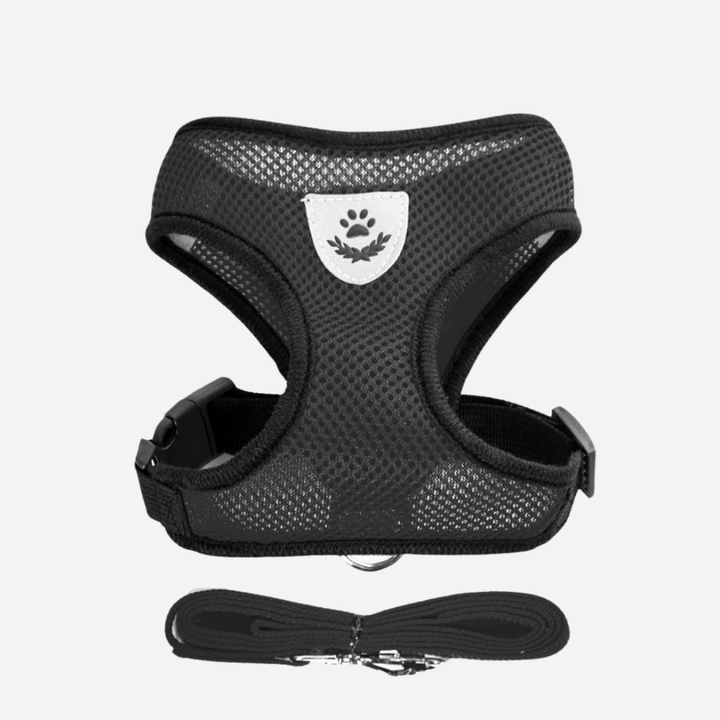 Breathable Mesh Puppy Harness Set
