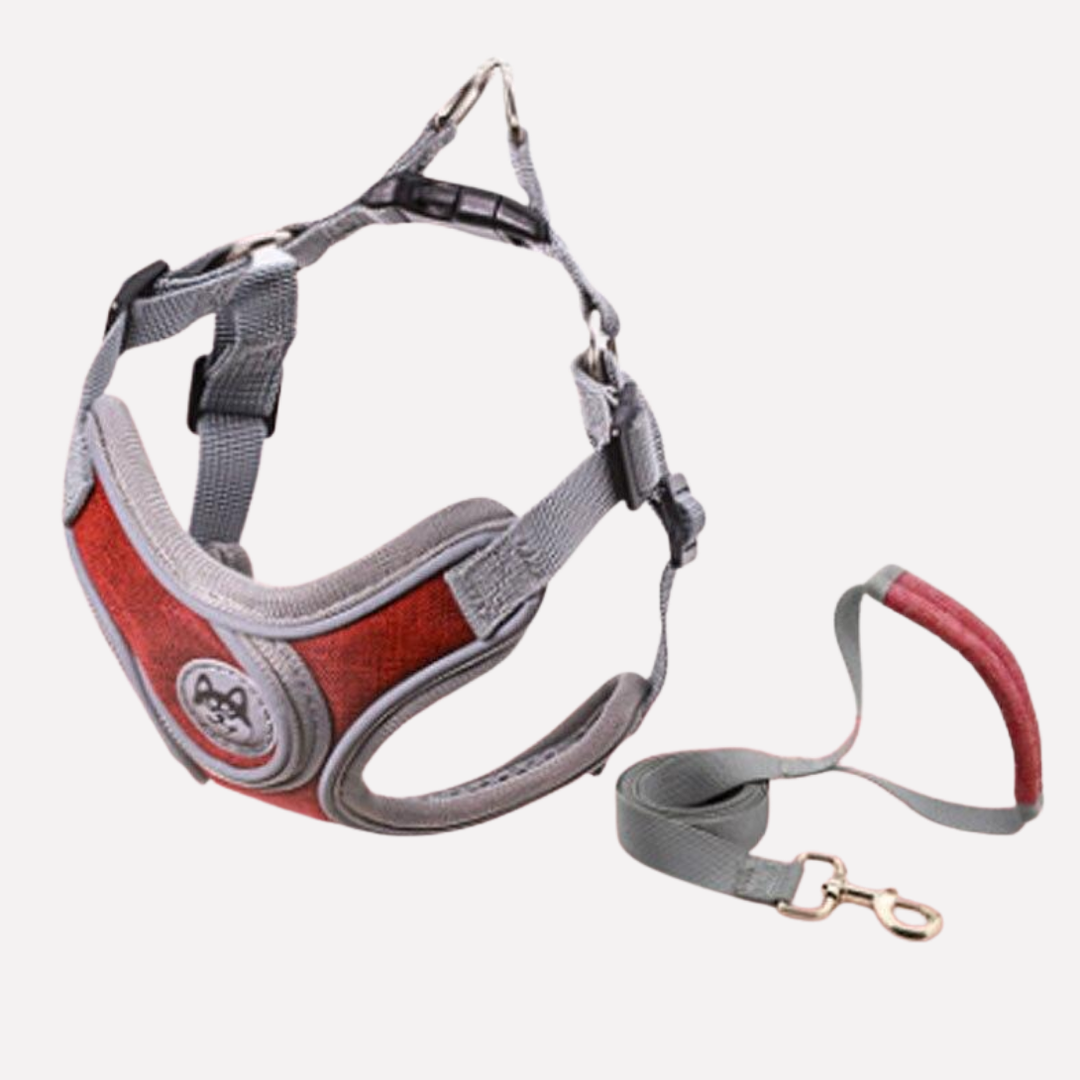 Dog Harness Set Adjustable Vest with Leash