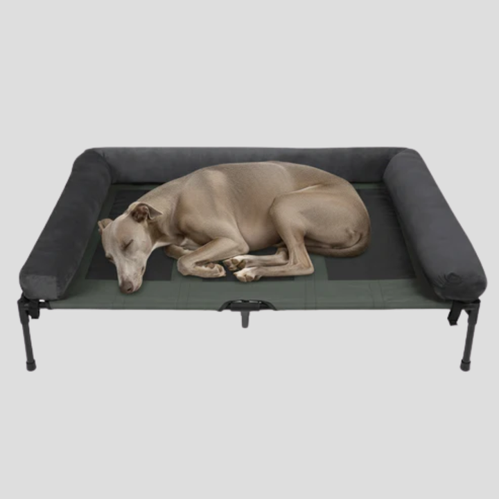 Bolster Bed for Large Dogs Spacious Raised Design