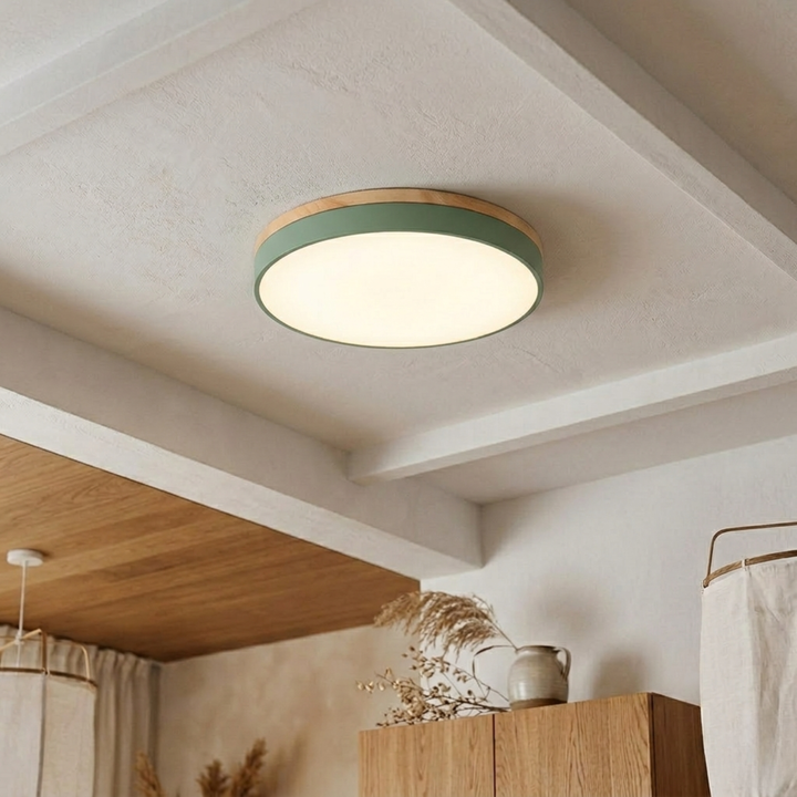 Round Disc Ceiling Light – Flat, Flush-Mounted Light