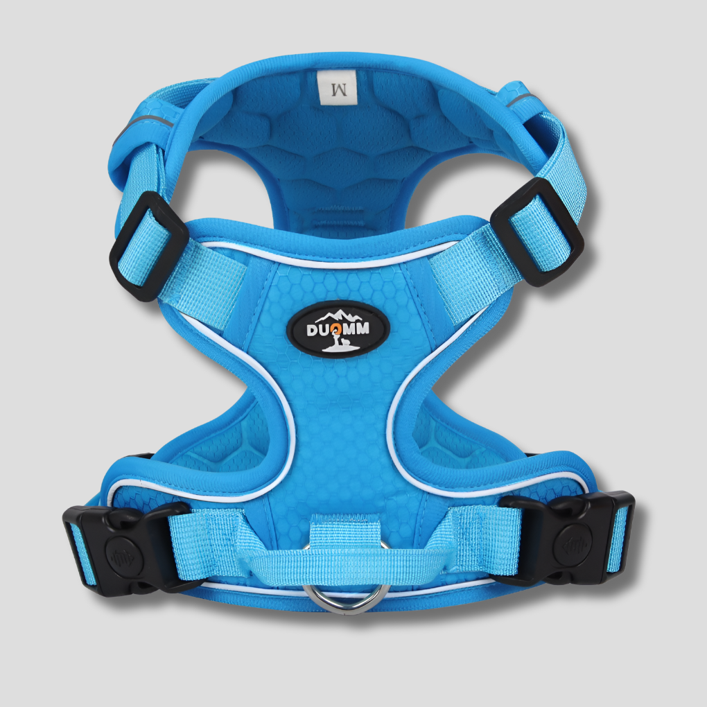 Reflective Adjustable Outdoor Dog Harness