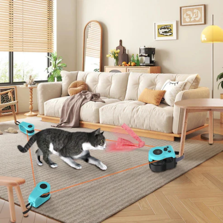 Interactive Cat Toy Motion Based Game for Indoor Cats