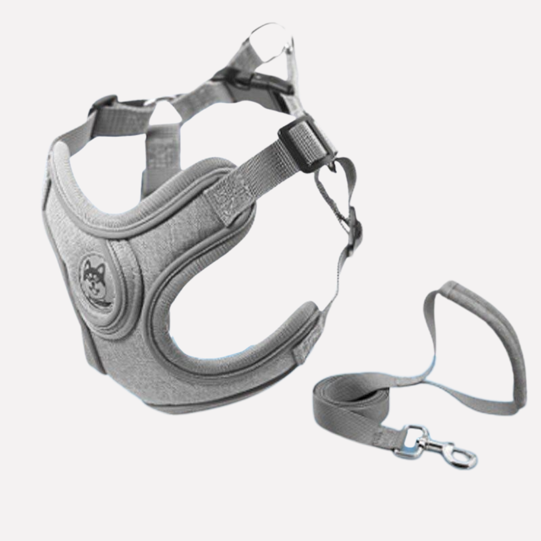 Dog Harness Set Adjustable Vest with Leash