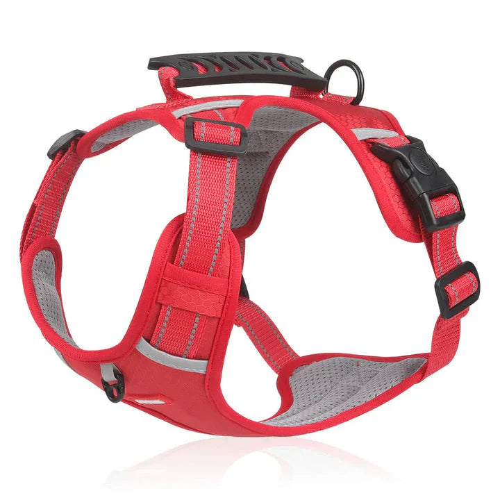 Anti-Pull Dog Harness with Comfortable Fit and Enhanced Control