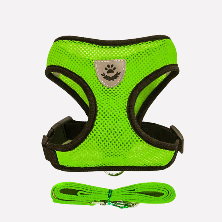 Breathable Mesh Puppy Harness Set