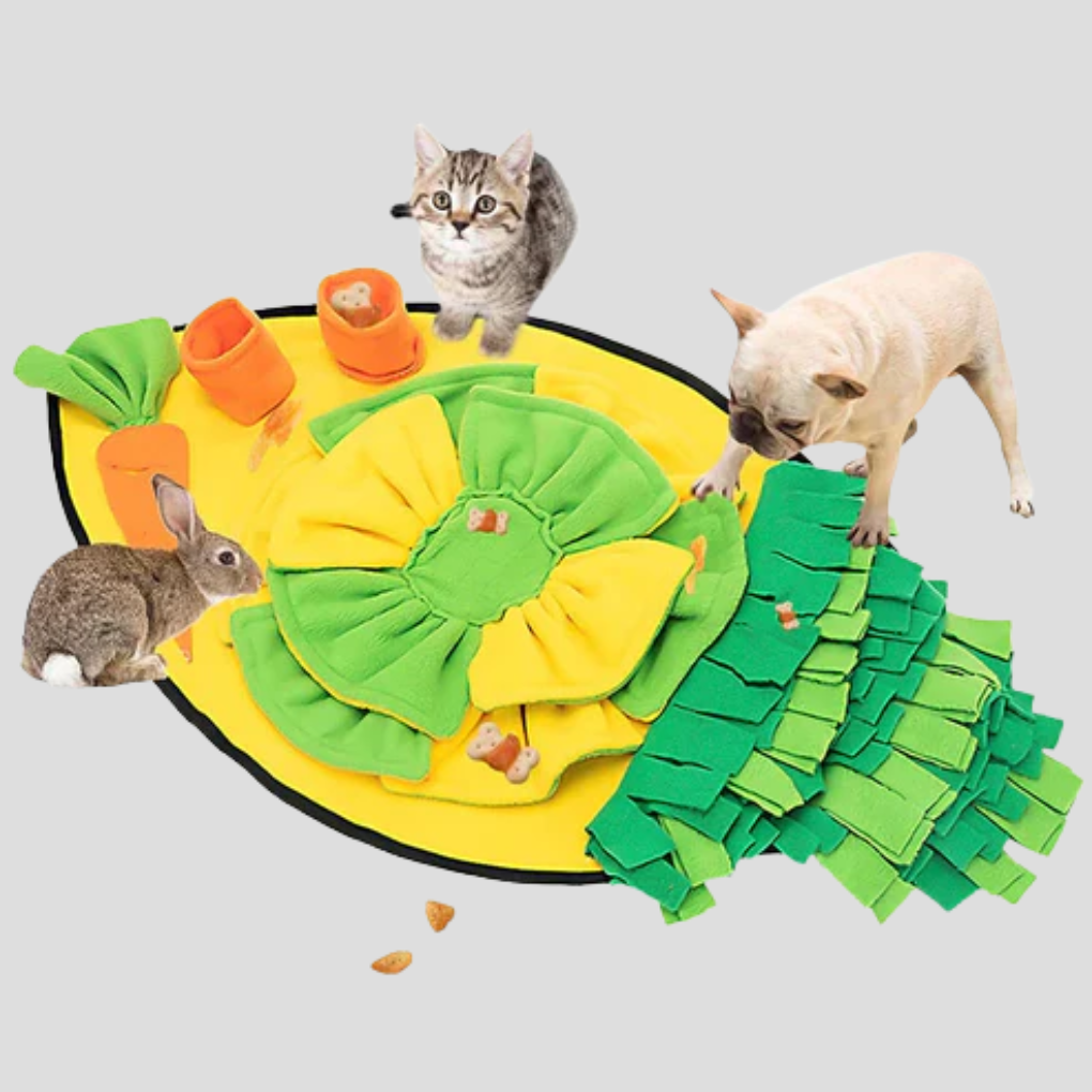 Snuffle Mat Slow Feed for Dogs