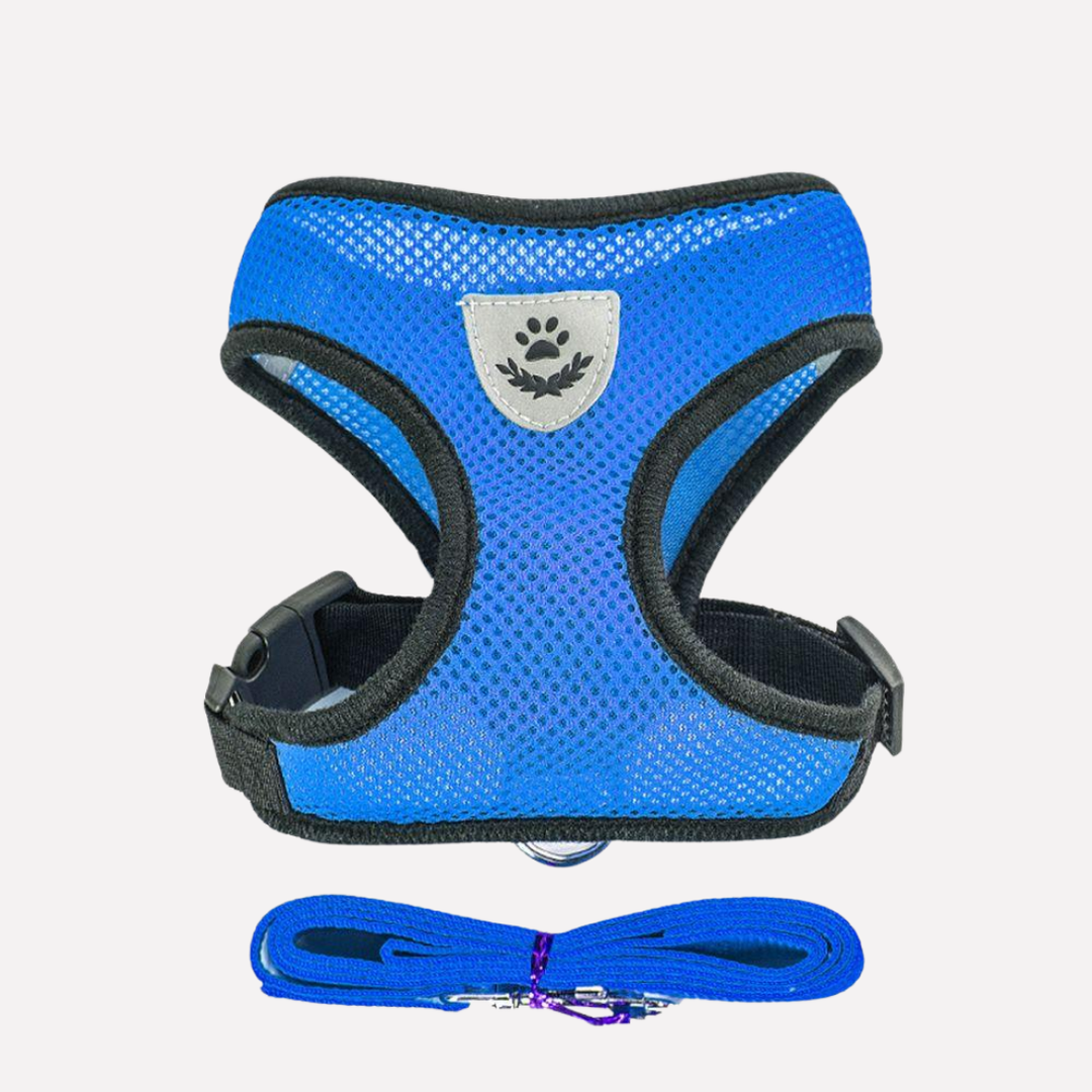 Breathable Mesh Puppy Harness Set
