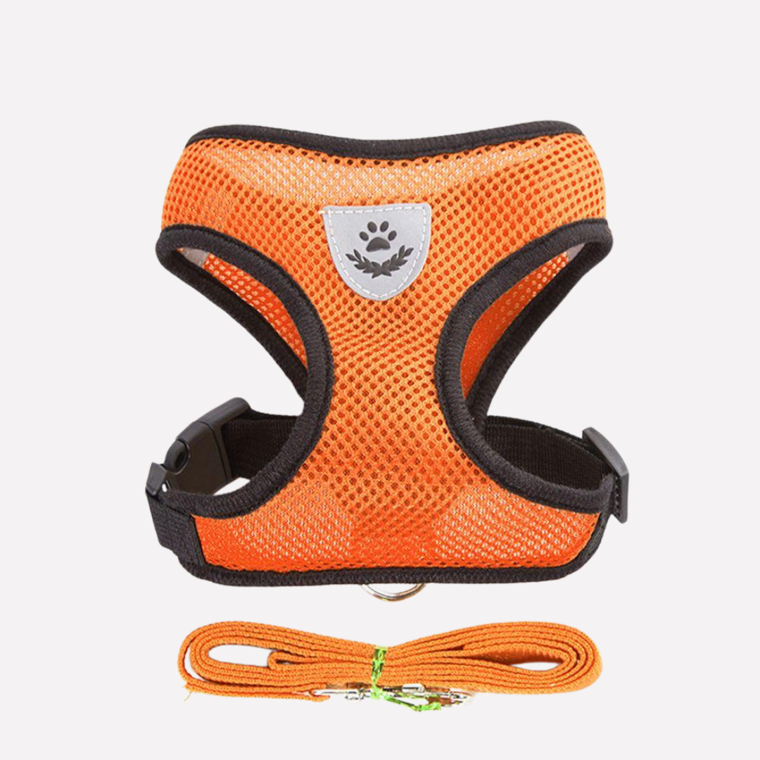 Breathable Mesh Puppy Harness Set