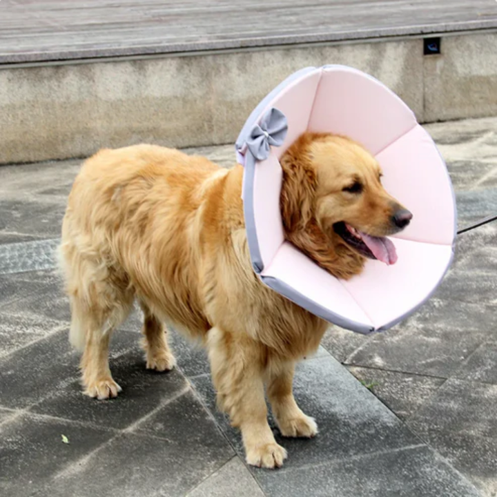 Soft Protective Collar for Dogs