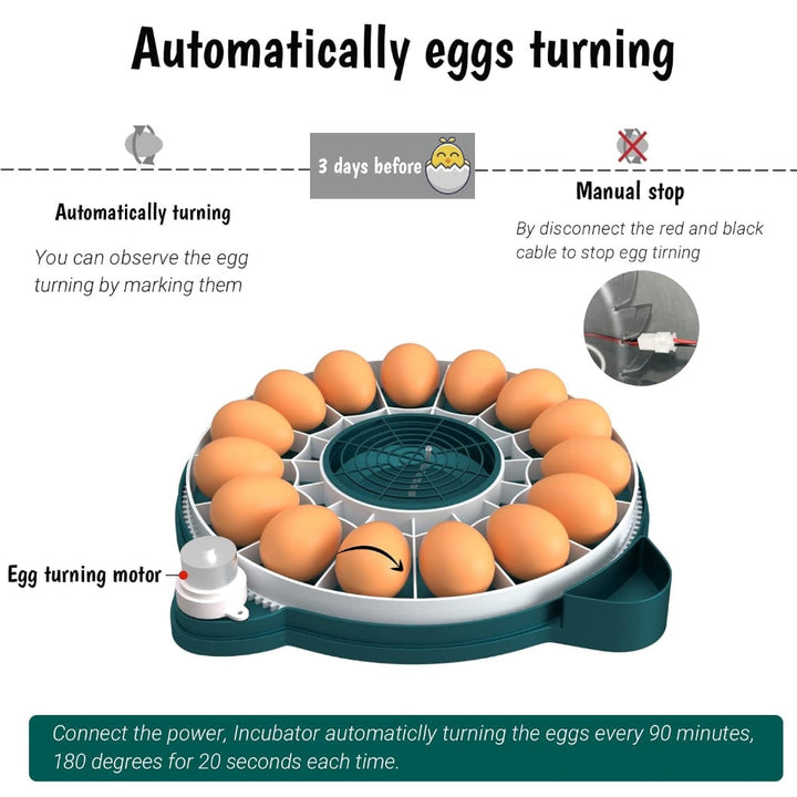 15 Eggs Incubator with Automatic Humidity Control
