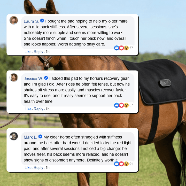 LED Red Light Therapy Back Wrap for Horses