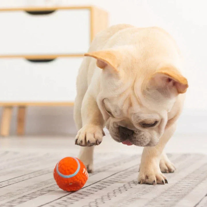 The Indestructible Play Companion for Dogs – KryptoChew
