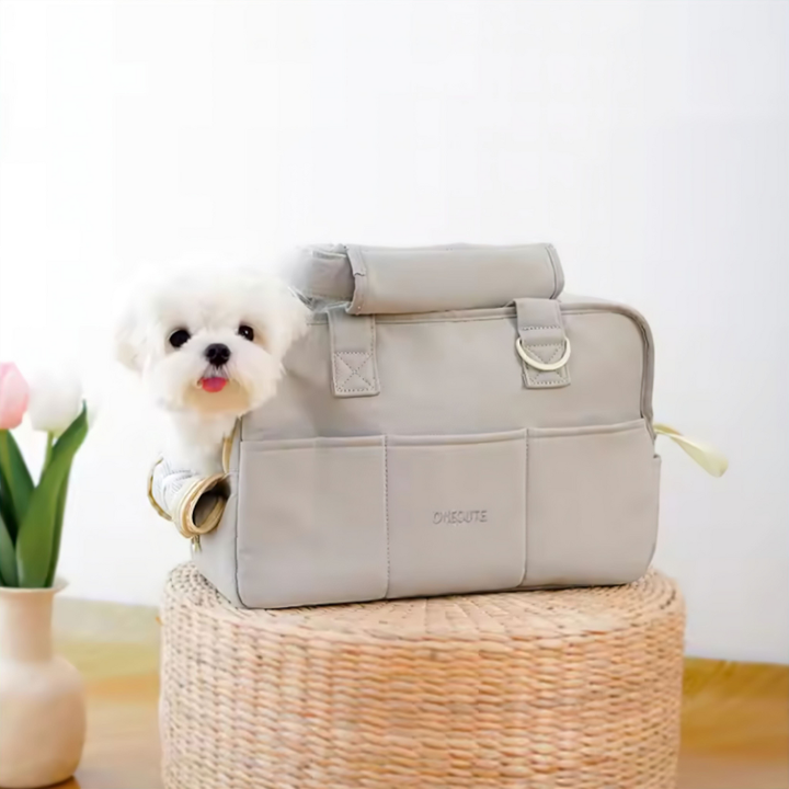 Pet Carrier – Travel in Style