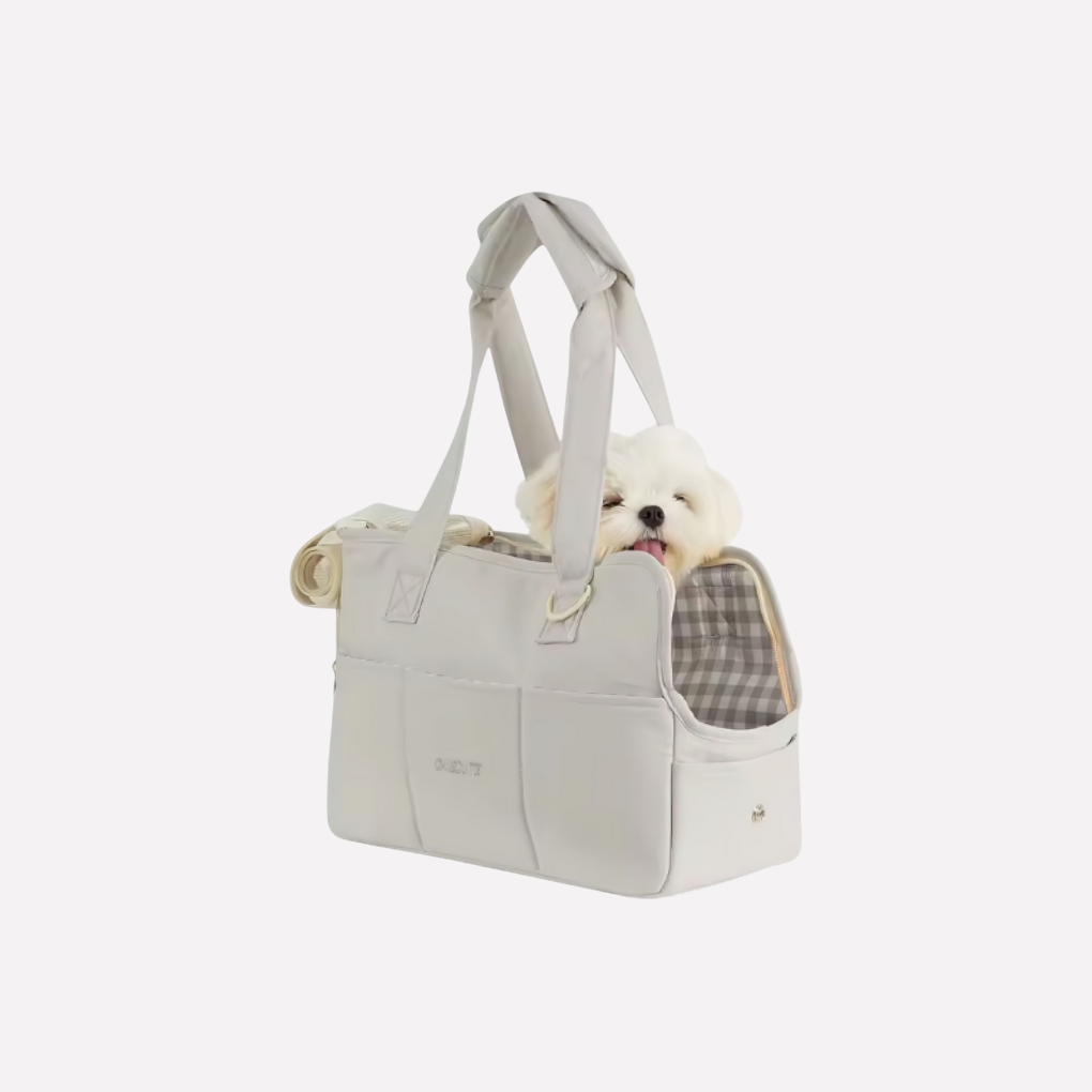 Pet Carrier – Travel in Style