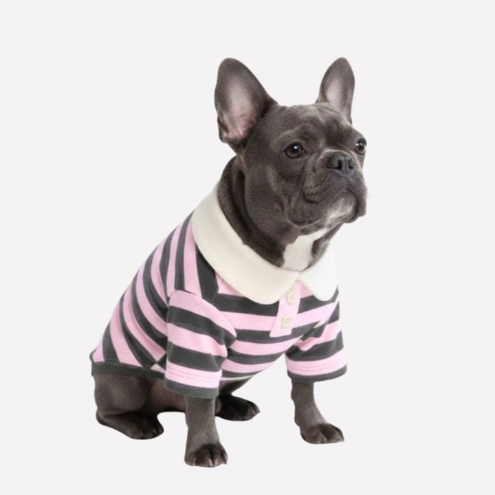 Classic Striped Polo Dog Shirt