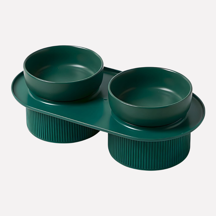 Elevated Ceramic Feeding Bowl