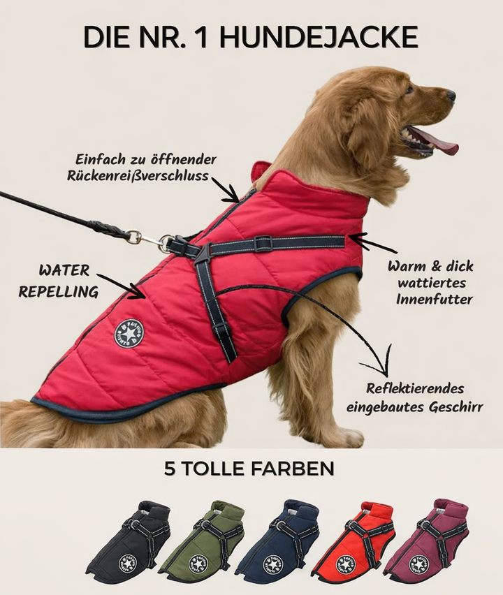 Reflective Dog Jacket with Built-In Harness, Windproof and Water-Repellent