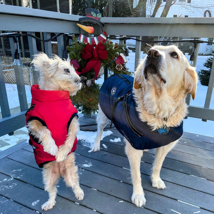 Reflective Dog Jacket with Built-In Harness, Windproof and Water-Repellent
