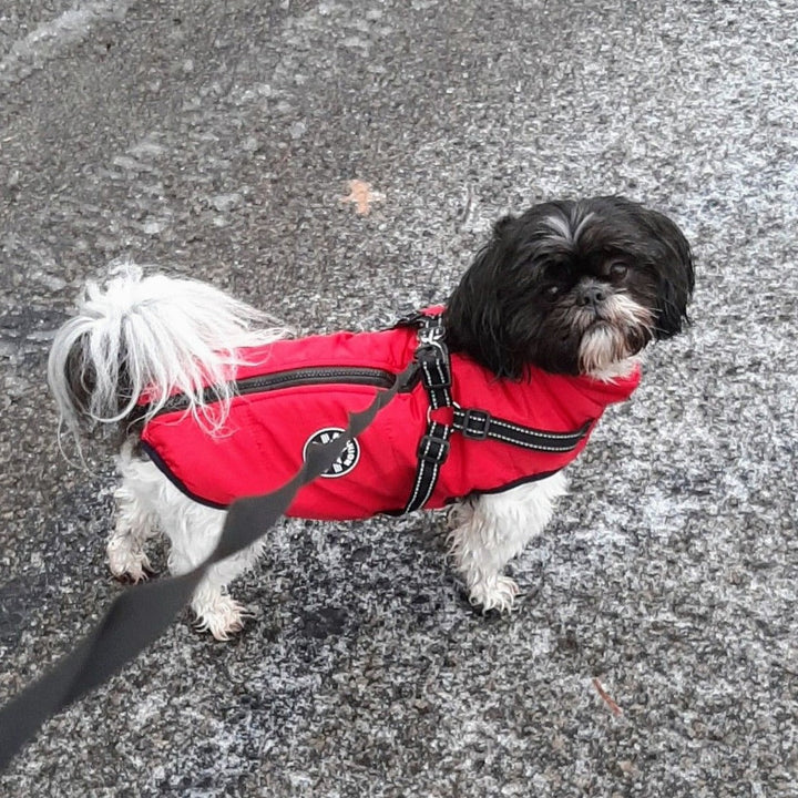 Reflective Dog Jacket with Built-In Harness, Windproof and Water-Repellent