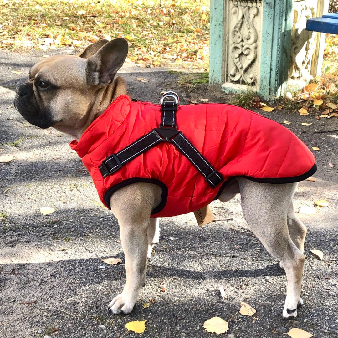 Reflective Dog Jacket with Built-In Harness, Windproof and Water-Repellent
