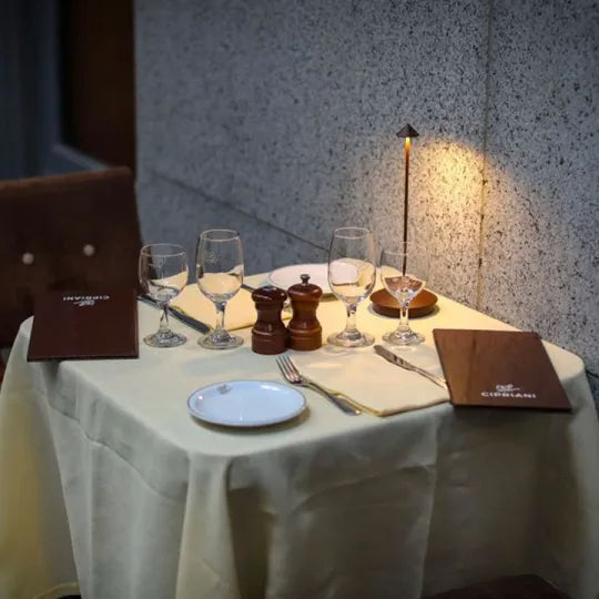 Wireless LED Lamp | Dimmable Battery-Powered Touch Lamp
