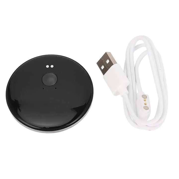 Portable AI Voice Translator with Real-Time Voice and Text Recognition