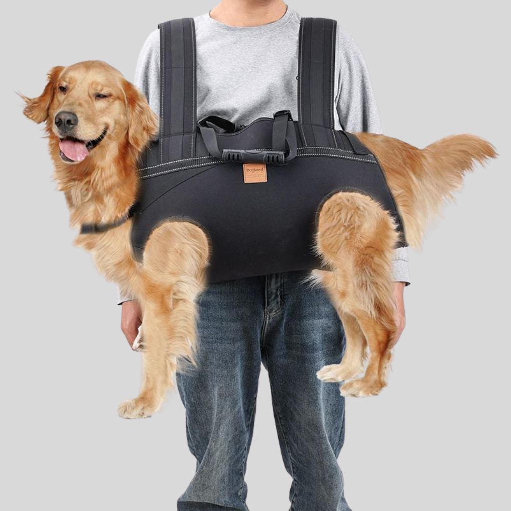 Multifunctional Pet Carrier Backpack