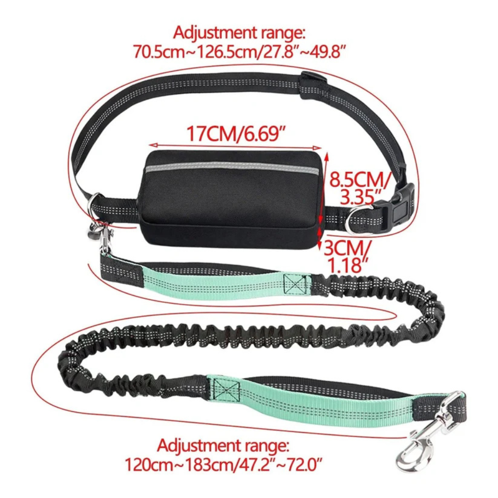 Adjustable Waistband dog leash