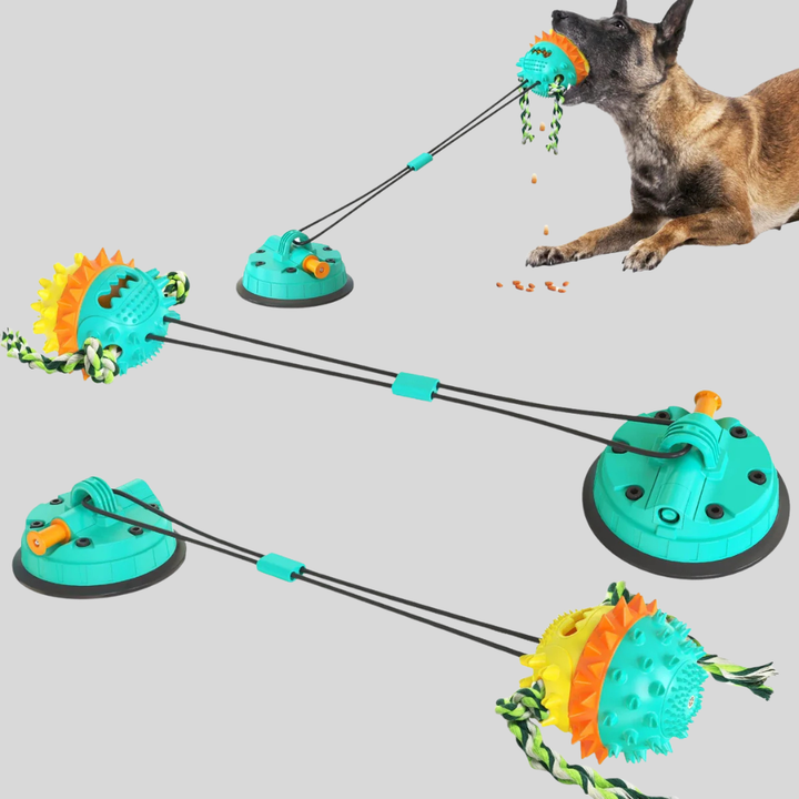 Perfect Play Buddy