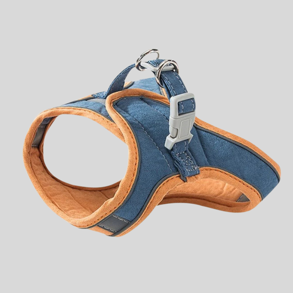 Cat Harness & Leash Set