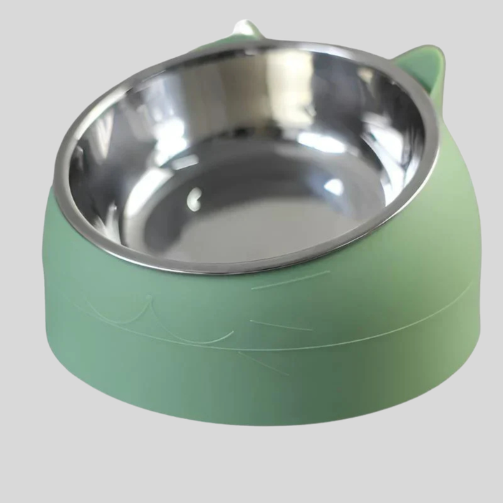 Raised Ergonomic Cat Food Bowl