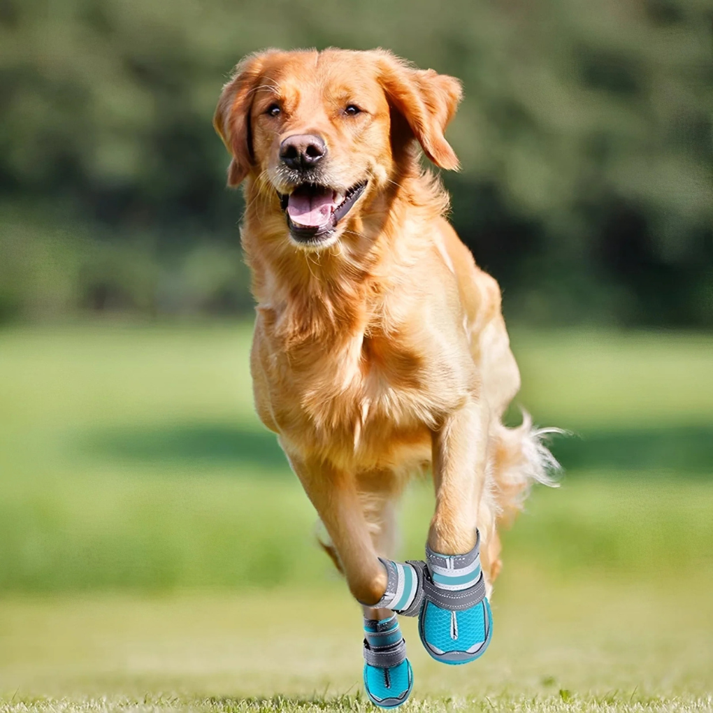Protective Non-Slip Dog Shoes