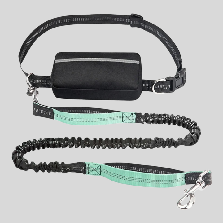 Adjustable Waistband dog leash