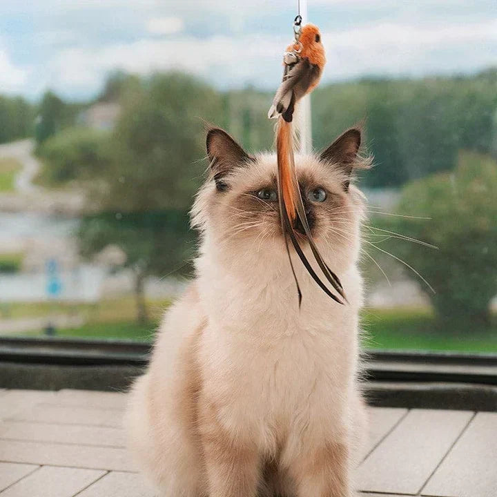Interactive Cat Toy - FlutterVriend