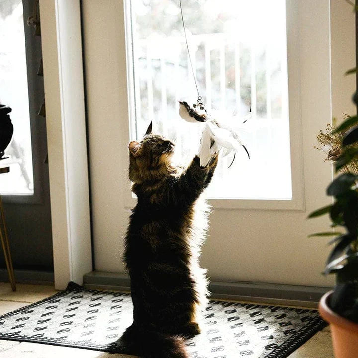 Interactive Cat Toy - FlutterVriend