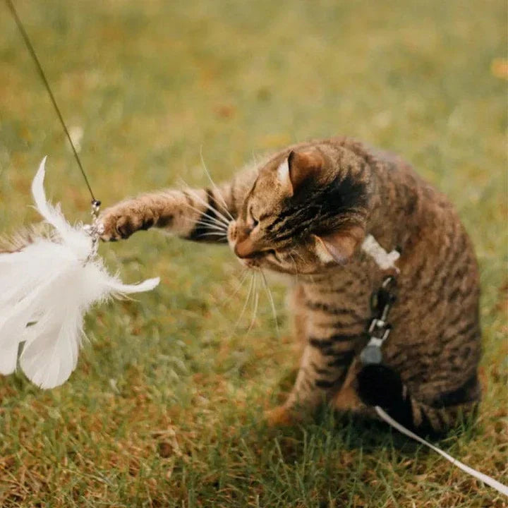 Interactive Cat Toy - FlutterVriend