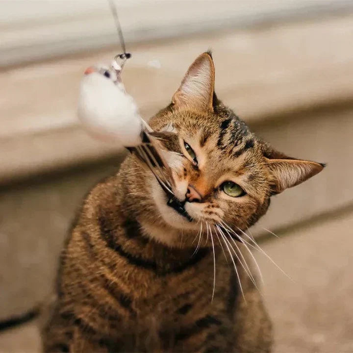 Interactive Cat Toy - FlutterVriend