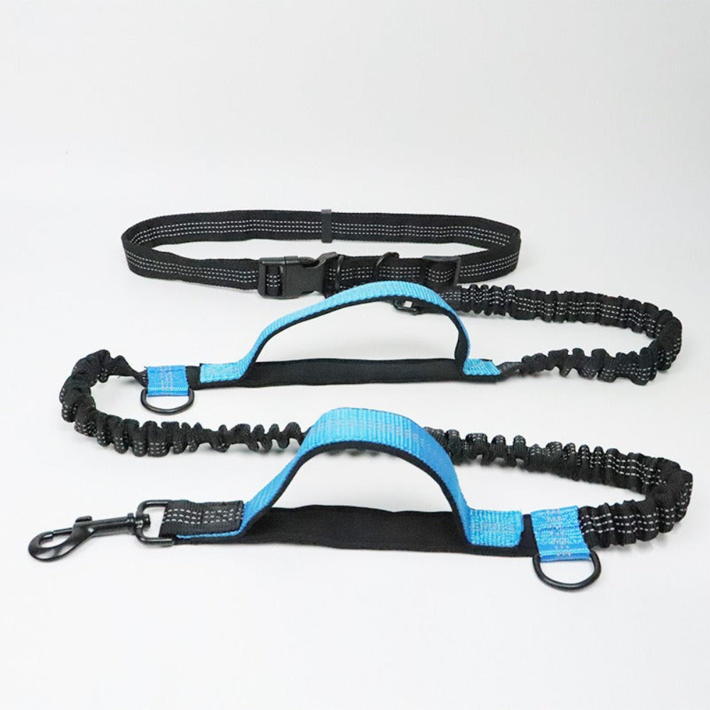 Multifunction Hands-Free Dog Lead with Safety Seat Belt