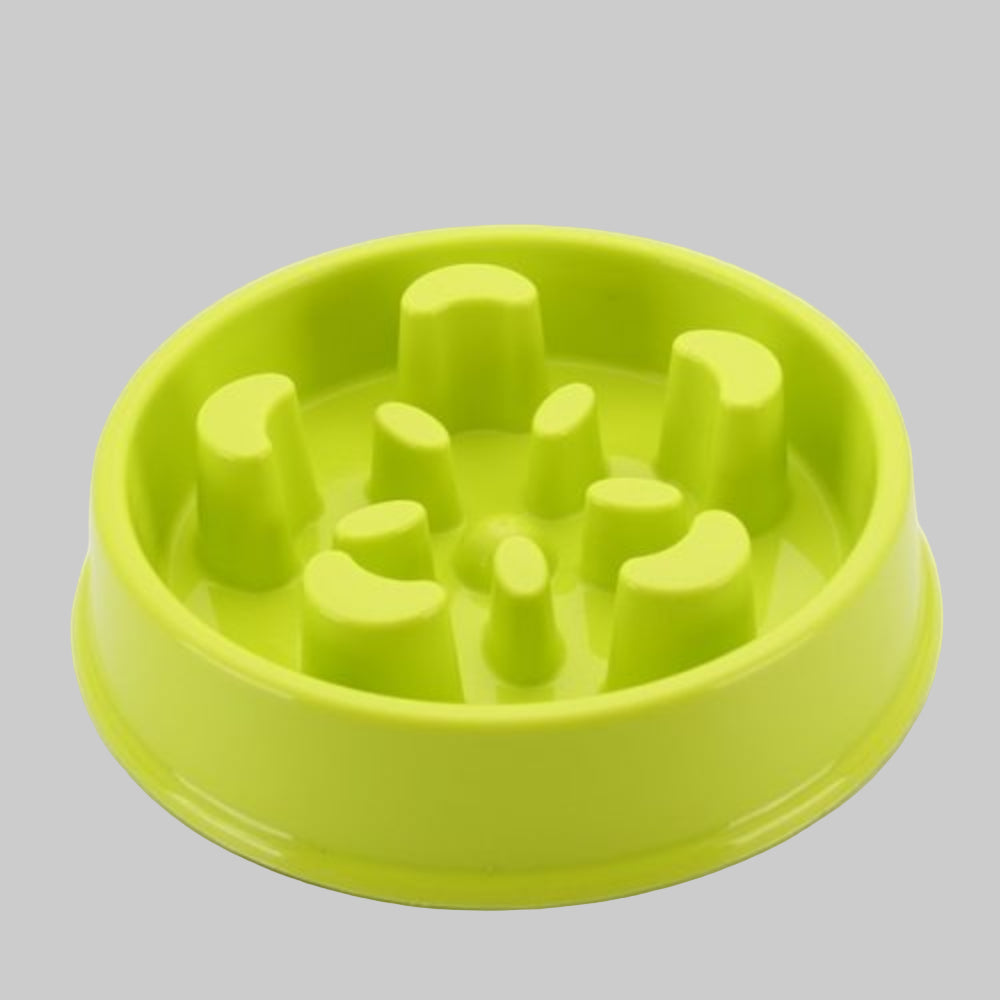 Anti-Choke Dog Feeding Bowl