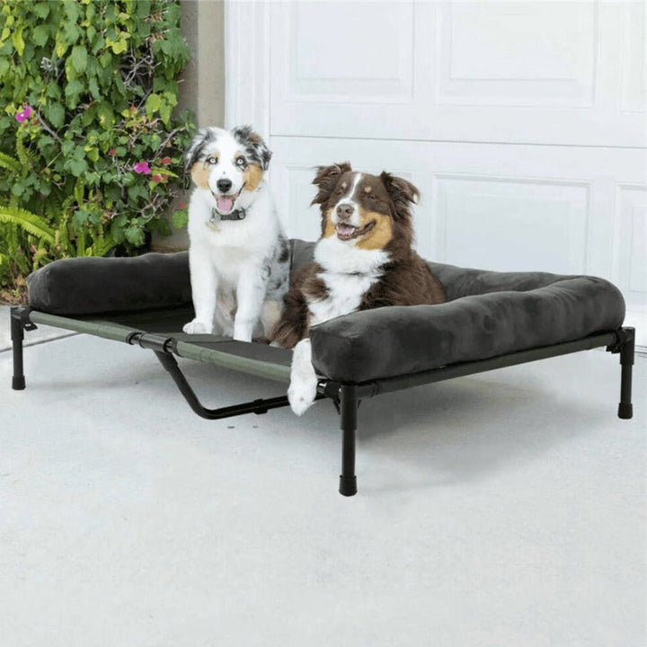 Bolster Bed for Large Dogs Spacious Raised Design