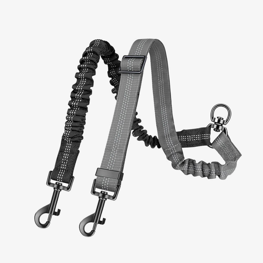 Dual Dog Lead with Shock Absorbing Bungee and No-Tangle Design