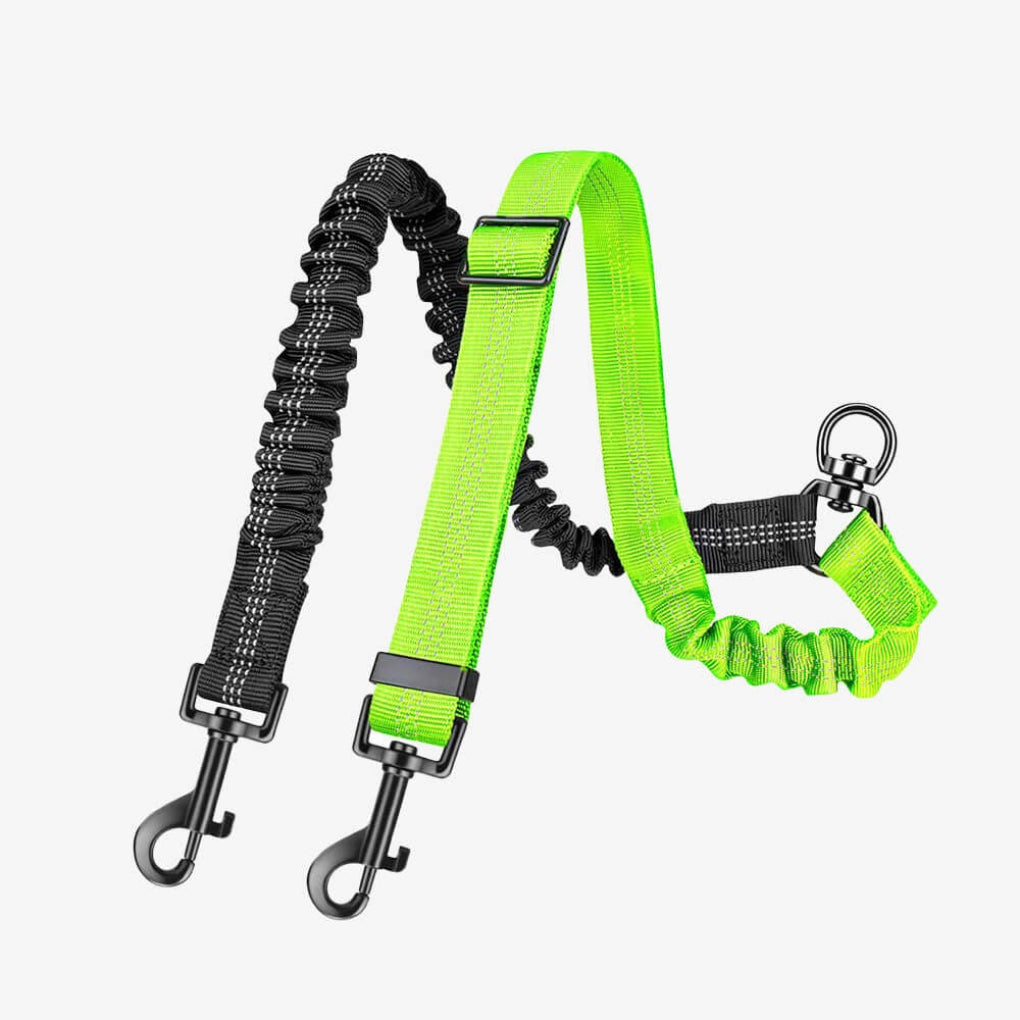 Dual Dog Lead with Shock Absorbing Bungee and No-Tangle Design