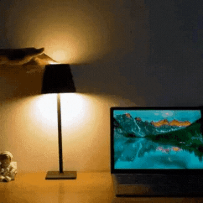 Rechargeable Wireless Table Lamp - Elegant LED for Indoor and Outdoor Use