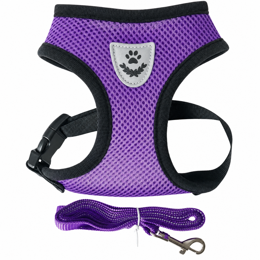 Breathable Mesh Puppy Harness Set