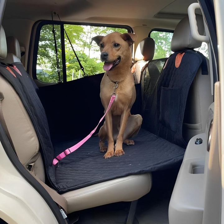 Housse Voiture Pour Chien - Protège Siège zaxx