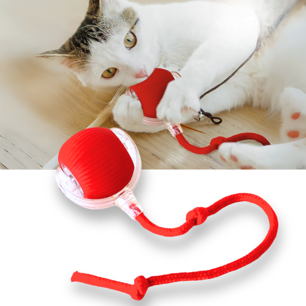 Interactive Cat Toys Ball with Motorized Rolling Motion and Rope Tail