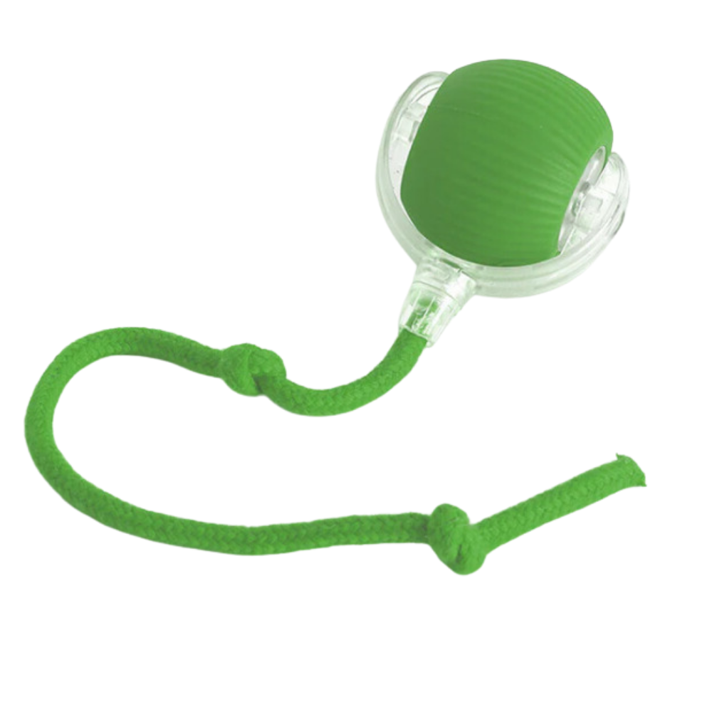 Interactive Cat Toys Ball with Motorized Rolling Motion and Rope Tail