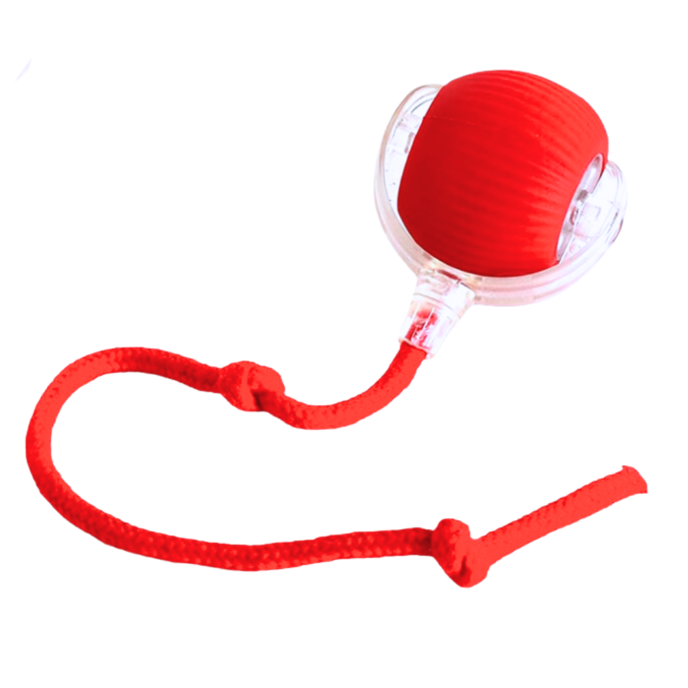 Interactive Cat Toys Ball with Motorized Rolling Motion and Rope Tail