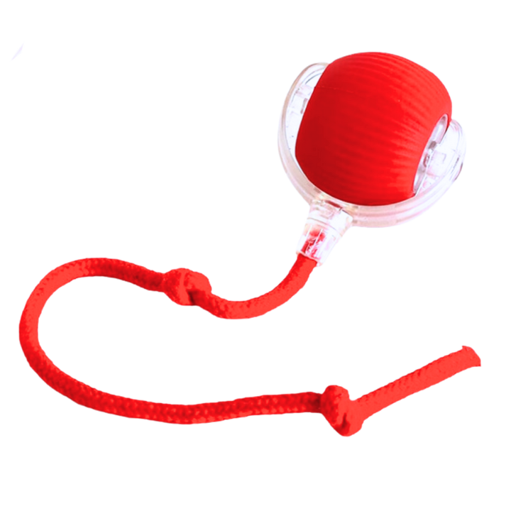 Interactive Cat Toys Ball with Motorized Rolling Motion and Rope Tail