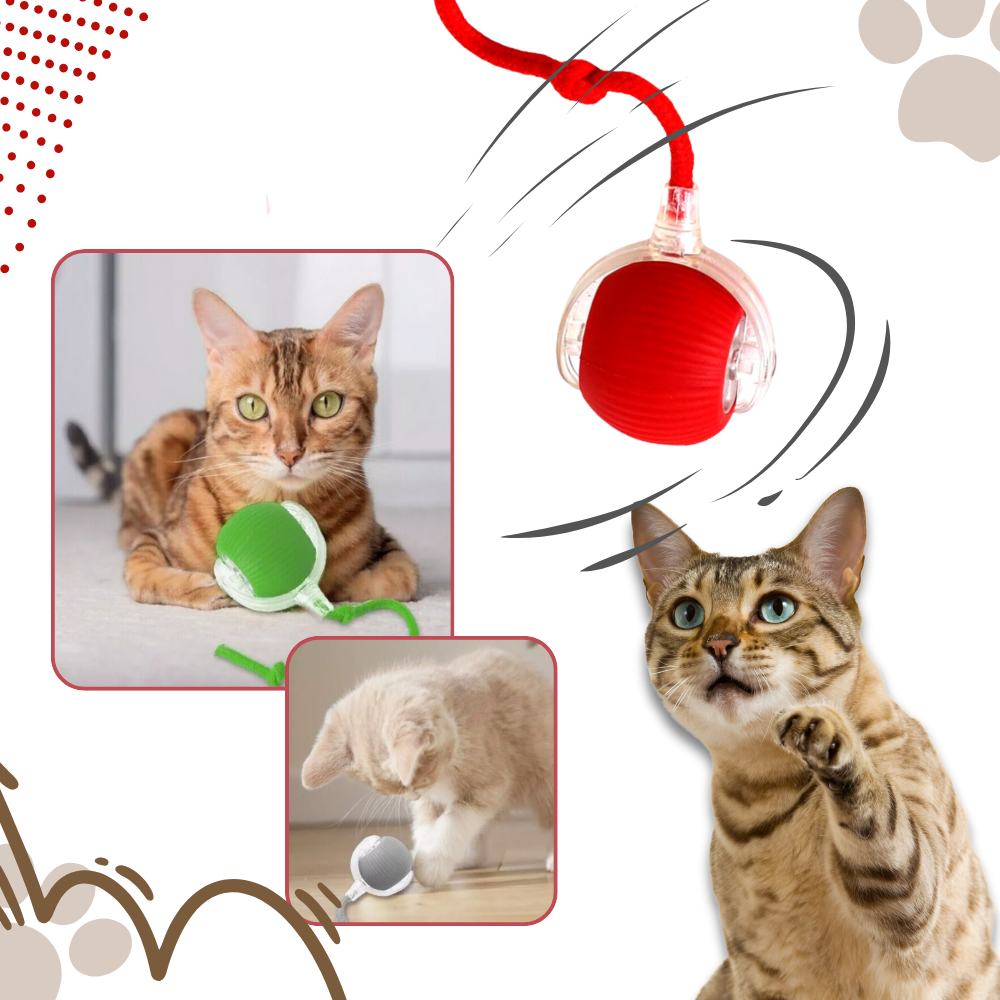 Interactive Cat Toys Ball with Motorized Rolling Motion and Rope Tail